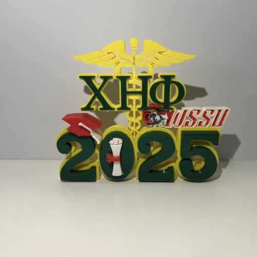 Chi Eta Phi Winston Salem State 2025 Graduate