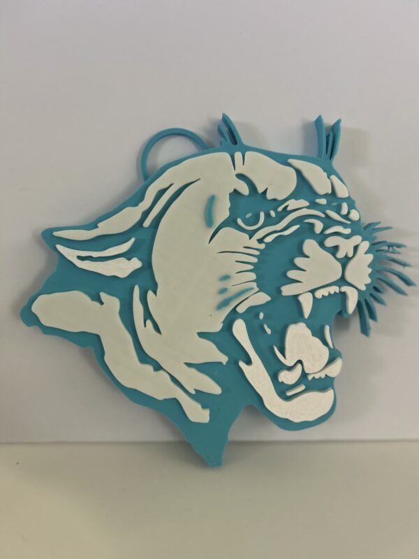 Southwest Edgecombe Cougars