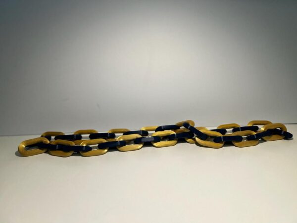 IMG_20250619_021455 Jacksonville Jaguars Team Chain