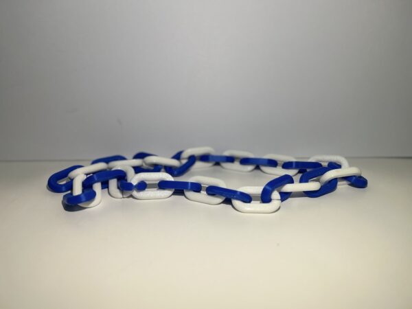 IMG_20250619_021536 New York Giants Team Chain