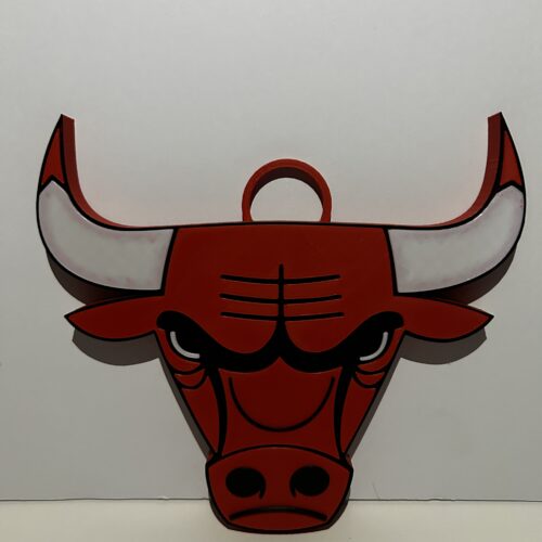 Chicago Bulls Team Chain