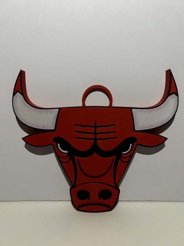 Chicago Bulls Team Chain