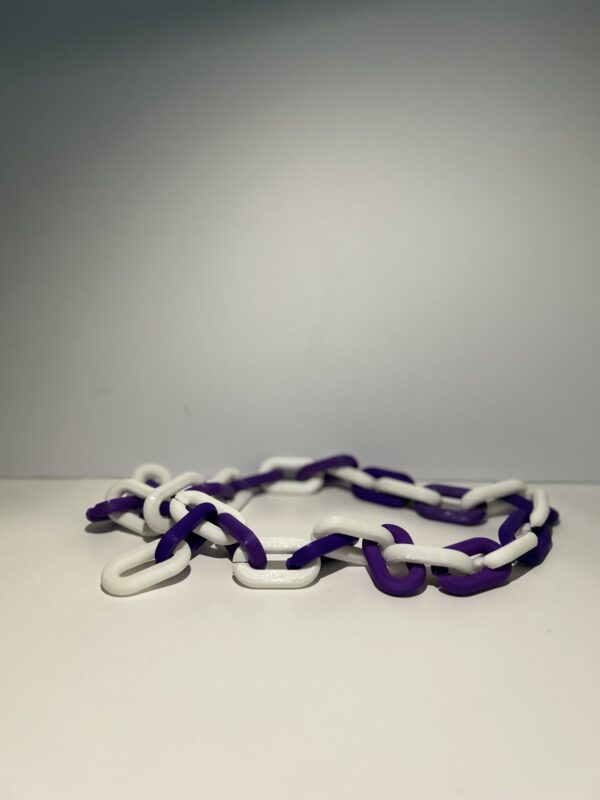 Baltimore Ravens Team Chain #3