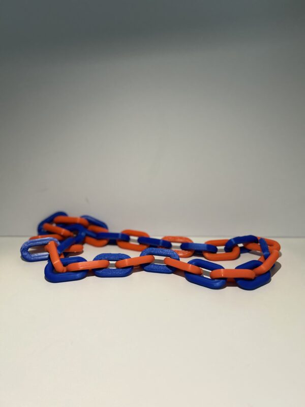 IMG_20250624_193308 New York Knicks Team Chain