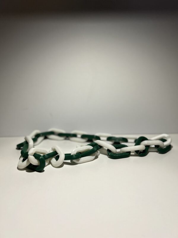 Philadelphia Eagles Team Chain